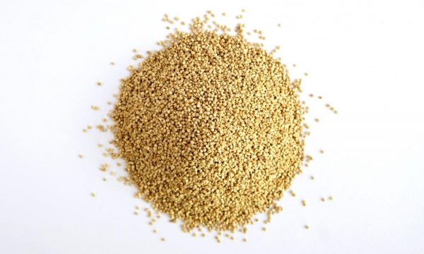 Buy Organic Quinoa Grain