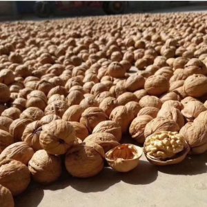 California Walnuts for sale