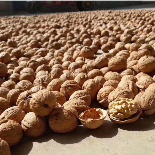 California Walnuts for sale