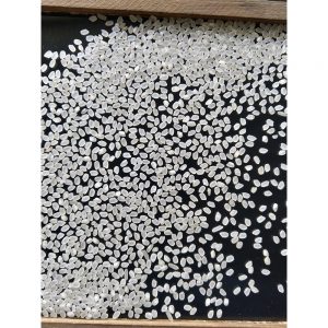 Buy Organic Short Grain Brown Rice