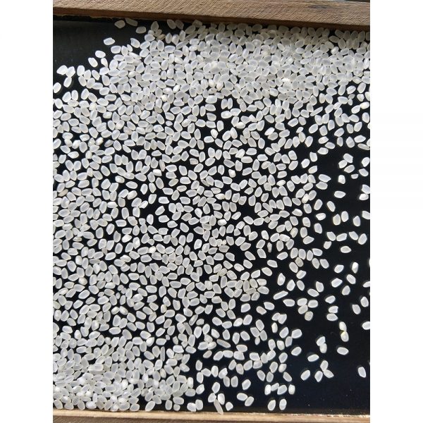 Buy Organic Short Grain Brown Rice