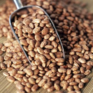 Buy Organic Pinto Beans