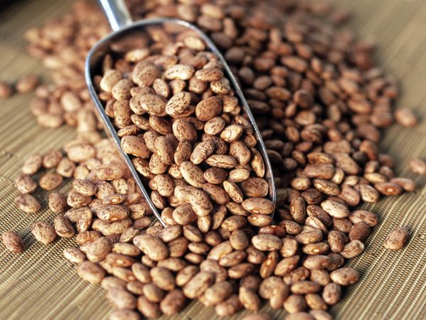 Buy Organic Pinto Beans