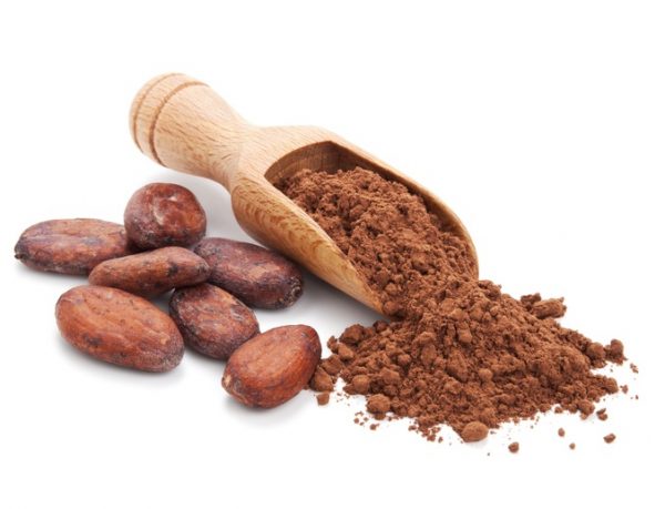 Organic Raw Cacao Powder for sale