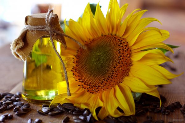 Buy sunflower oil online
