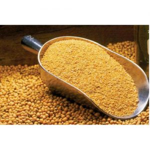 Buy Soybean Meal Online