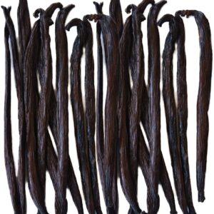 buy vanilla beans online